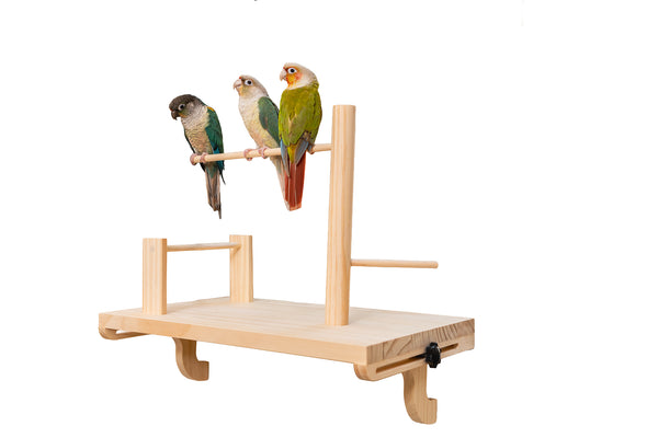 Adjustable Window Bird Perch Stand — No Drilling, 3 Perch Sizes