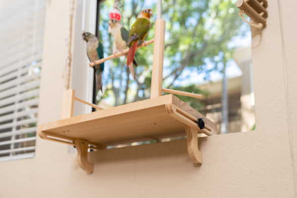 Adjustable Window Bird Perch Stand — No Drilling, 3 Perch Sizes